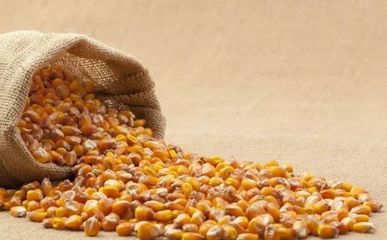 2018年广东省春播作物种子市场供求与价格权威分析