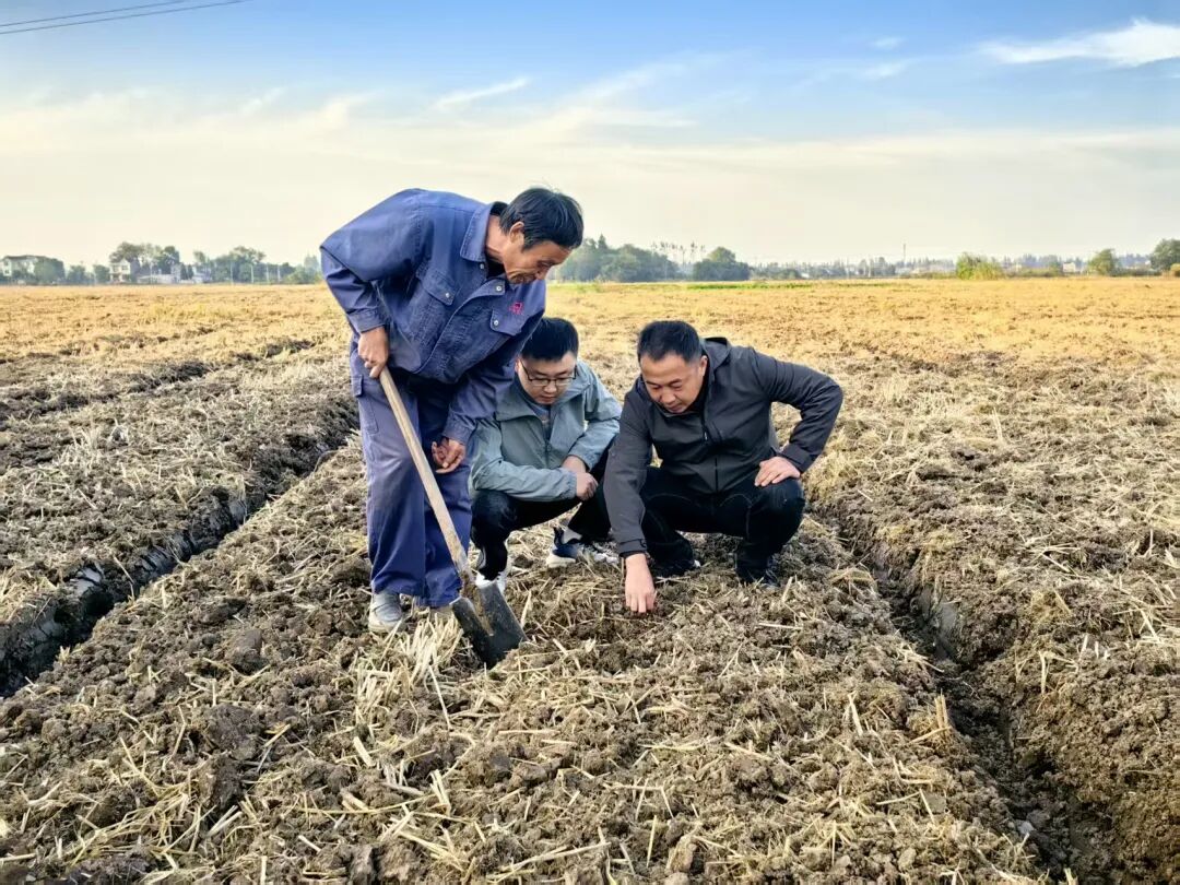 “农技+农机”双擎驱动，为秋播秋种注入优质“种子力量”