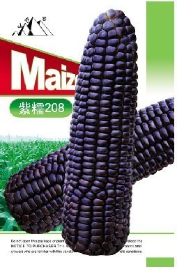 黑粘玉米种子 高产早熟，鲜食香甜粘的理想选择